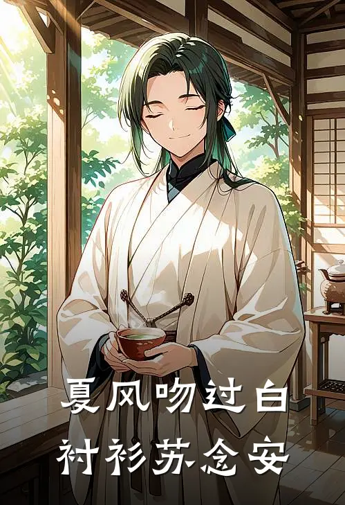 夏风吻过白衬衫苏念安